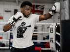 Boxer Silhouette T-Shirt