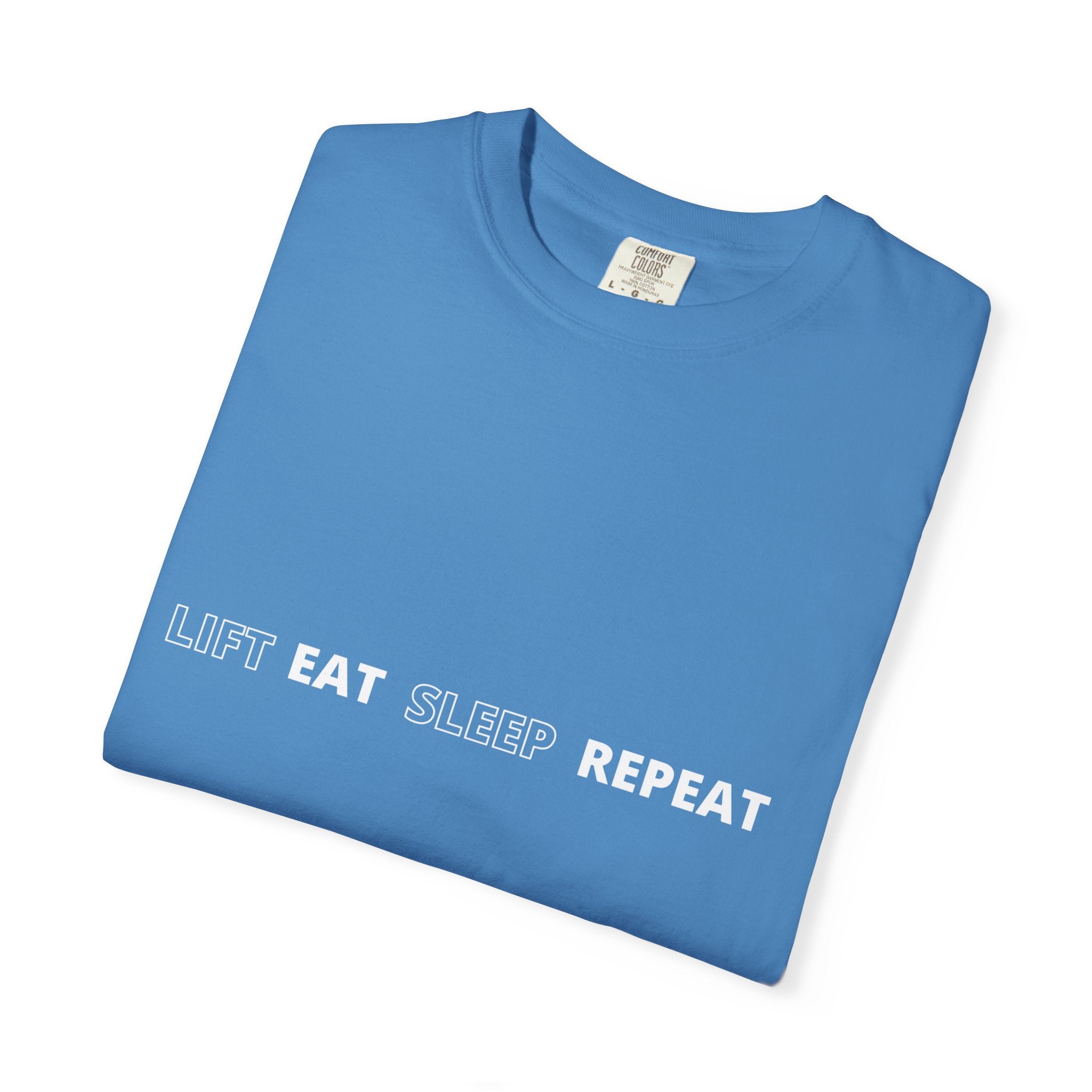 No Pain No Progress T-Shirt